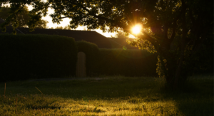 Solar im Garten