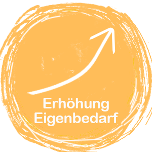 Erhöhung Eigenbedarf mit Solarspeicher