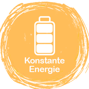 Konstante Energieversorgung mit Stromspeicher